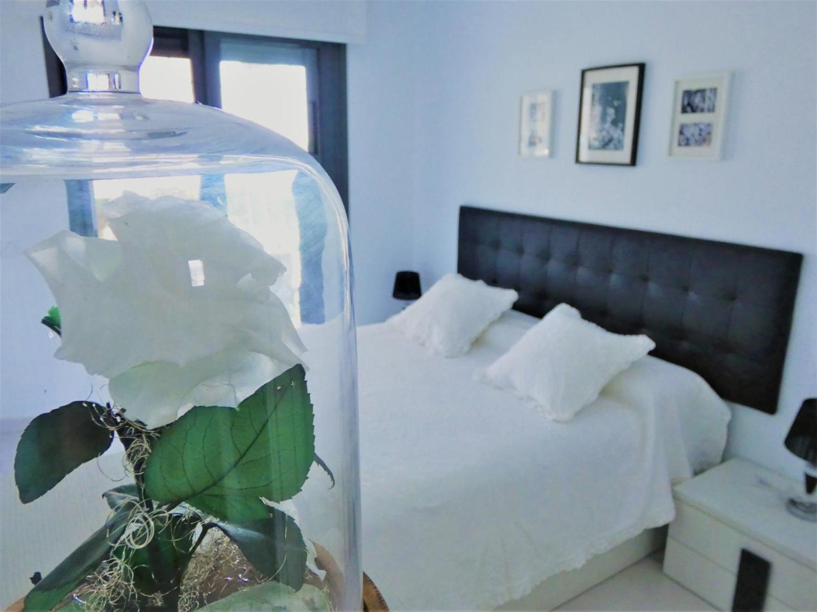 Ocean View Apartment آريناليس ديل سول المظهر الخارجي الصورة